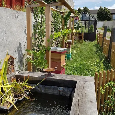 Appartamento - Yellow Sun *