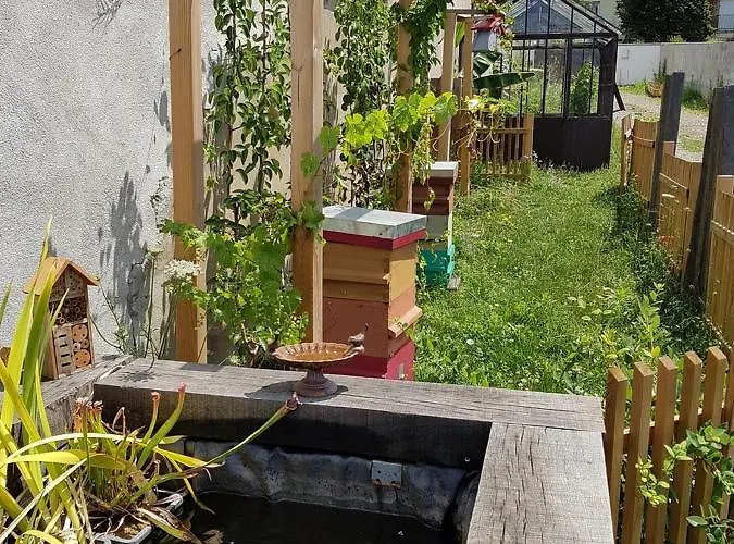 Appartamento - Yellow Sun *